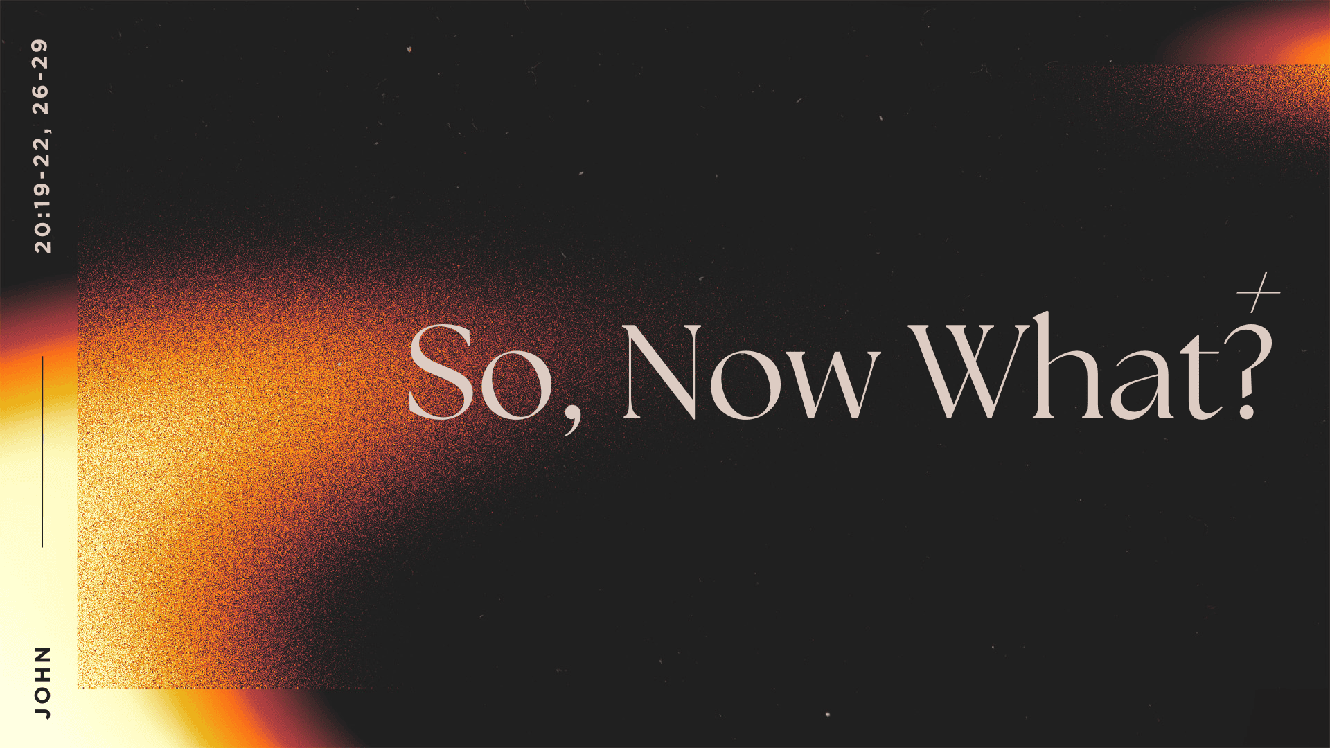 copy of salt + light title still
